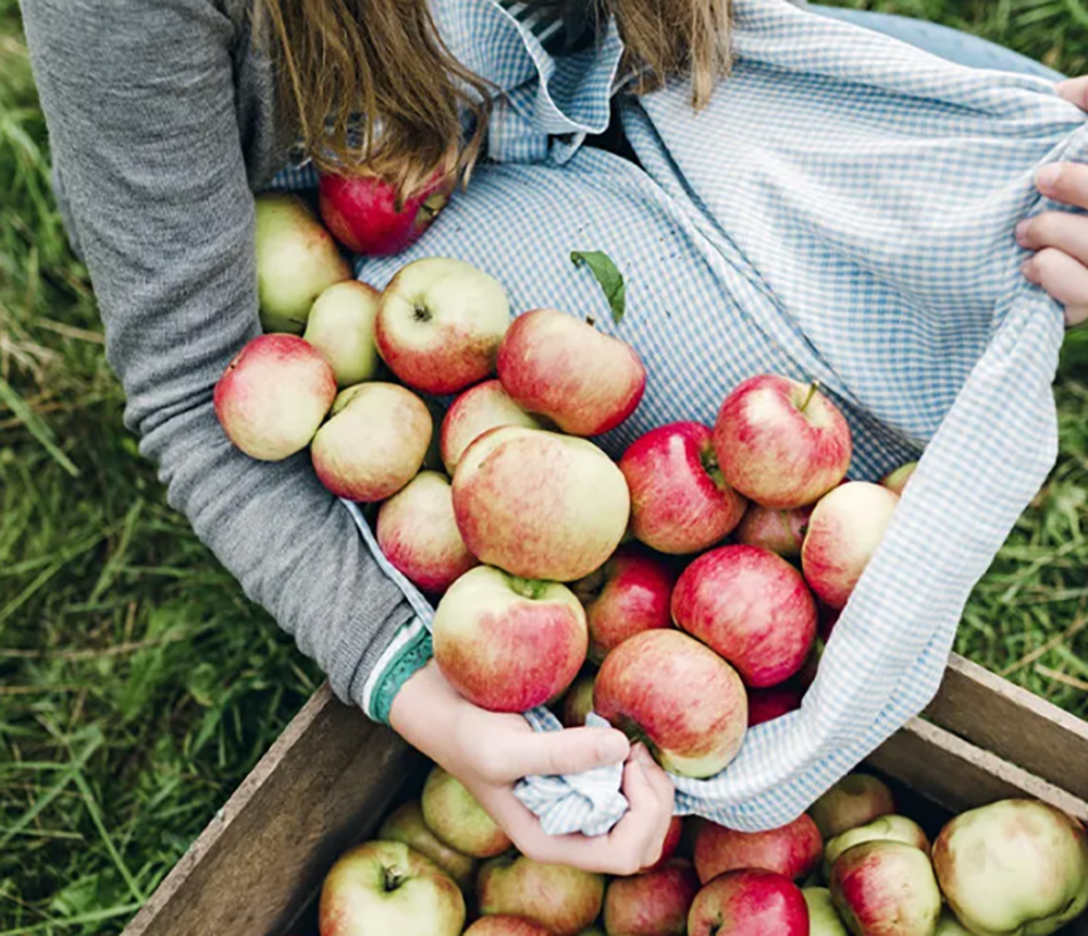 Visit Ithaca's Cider Scene